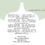WhatsApp-Image-2022-07-02-at-1.36.54-PM-3